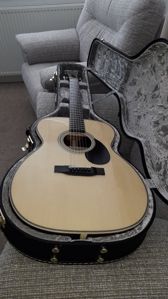 Eastman E20 OM with lr baggs element pick up