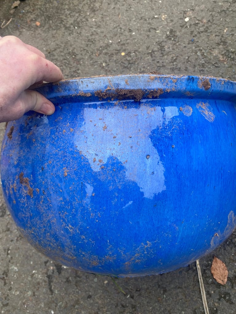 Blue ceramic pots+ White Pot 