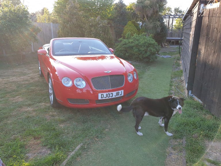 *OFFERS WELCOME* Bentley, CONTINENTAL GTC, Convertible, 2007, Semi-Auto, 5998 (cc), 2 doors