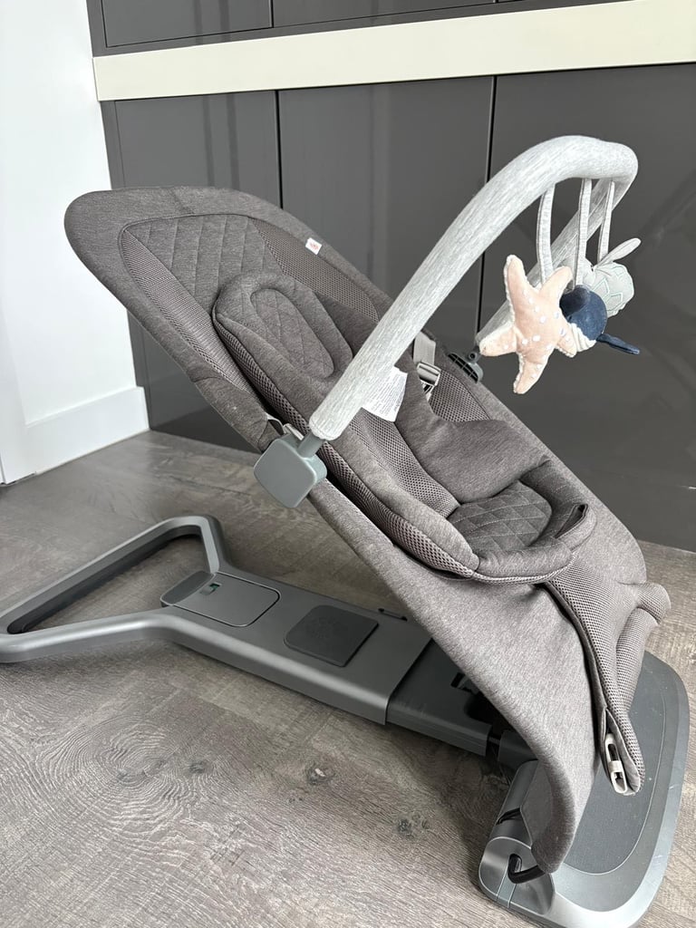 image for Ergobaby Evolve 3-in-1 Bouncer + Toy Bar – Excellent Condition – Chester