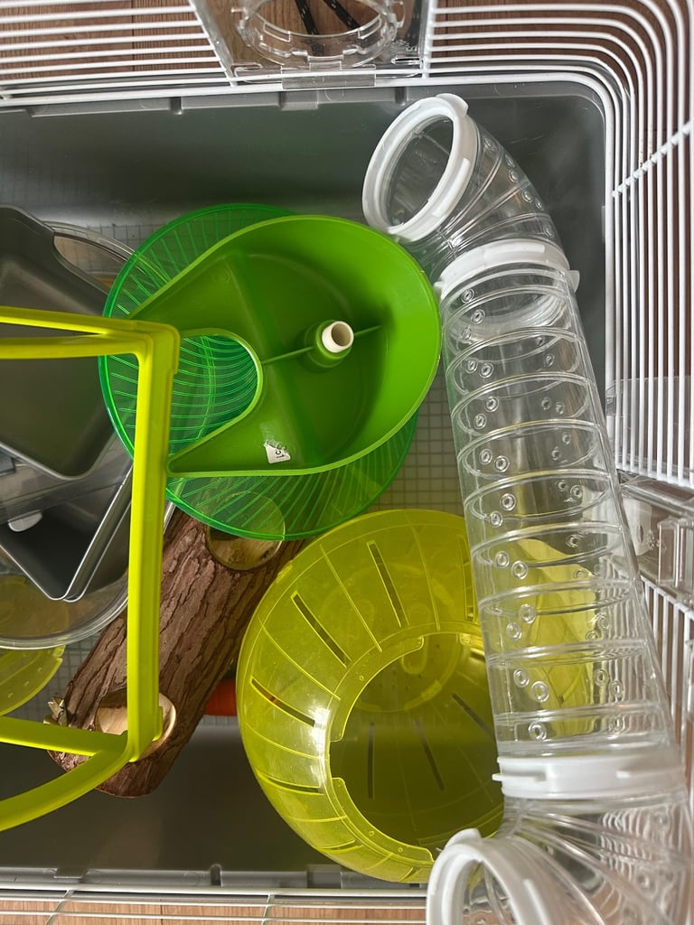 £50 hamster cage and accessories  Very good condition.