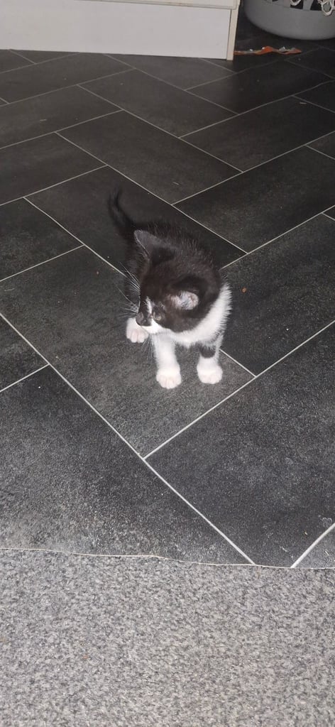 ready for a new home 