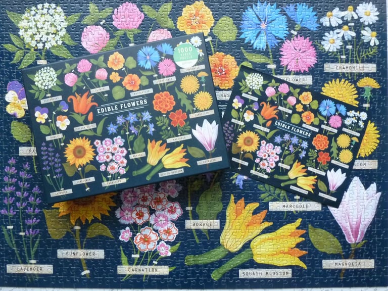 1,000 PIECE JIGSAW PUZZLES