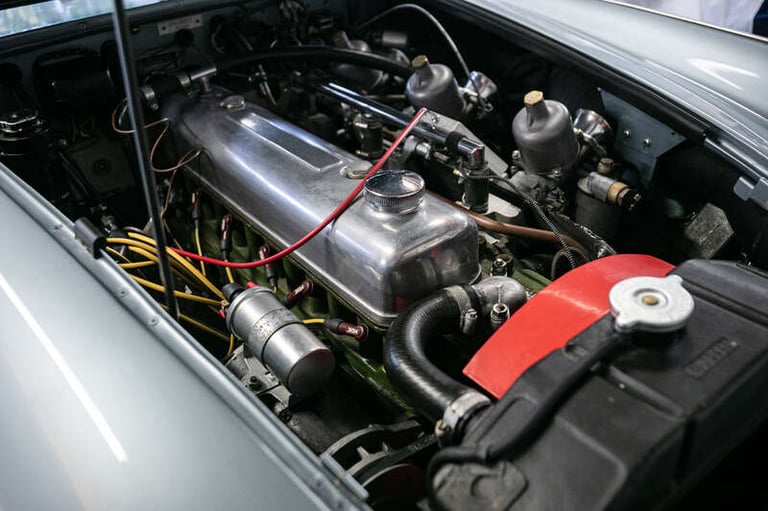 2021 Austin Healey PETROL Manual