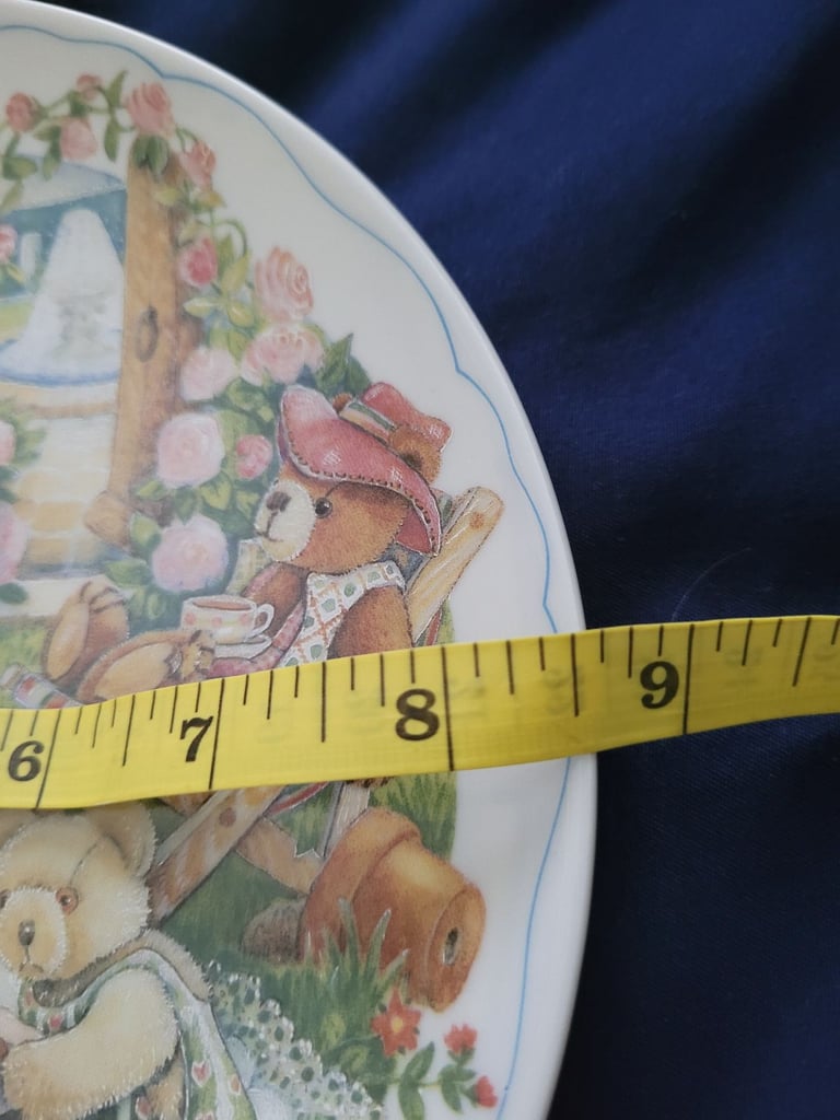 Really lovely teddy bear picnic plate 