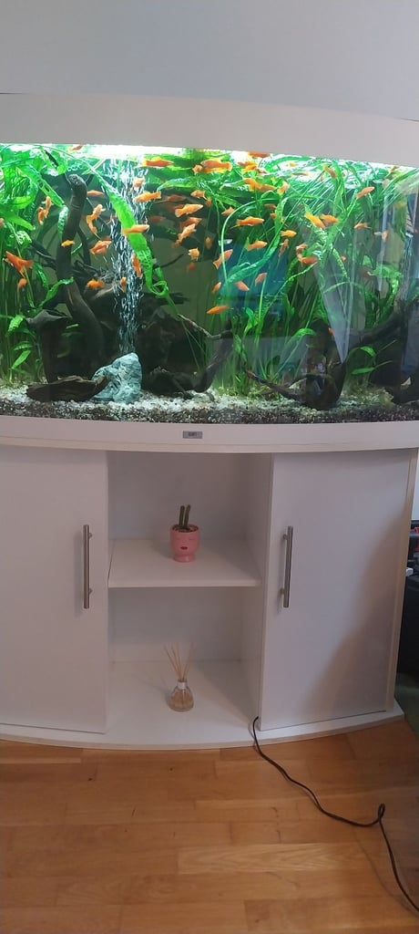 Juwel Tropical Fish Tank.