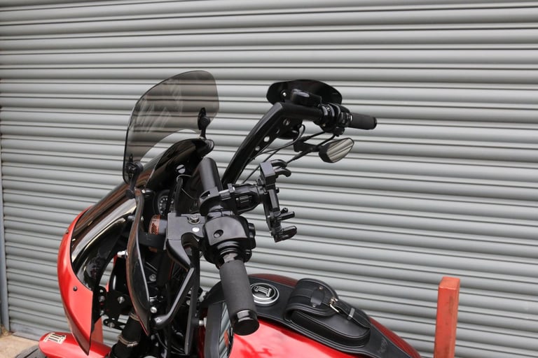Harley-Davidson XL883N SPORTSTER IRON 2013