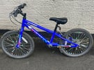 Childs 20inch Dawes Lightning Mountain Bike