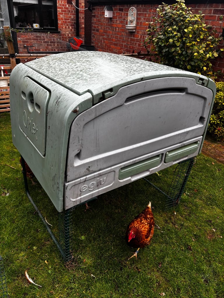 Omlet cube large chicken coop