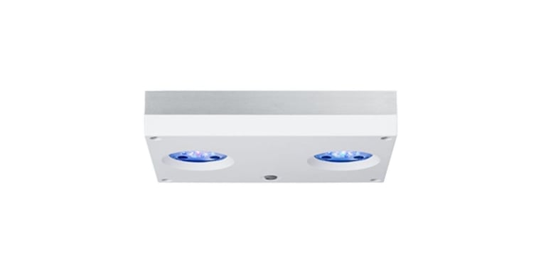 Aquarium Light AI