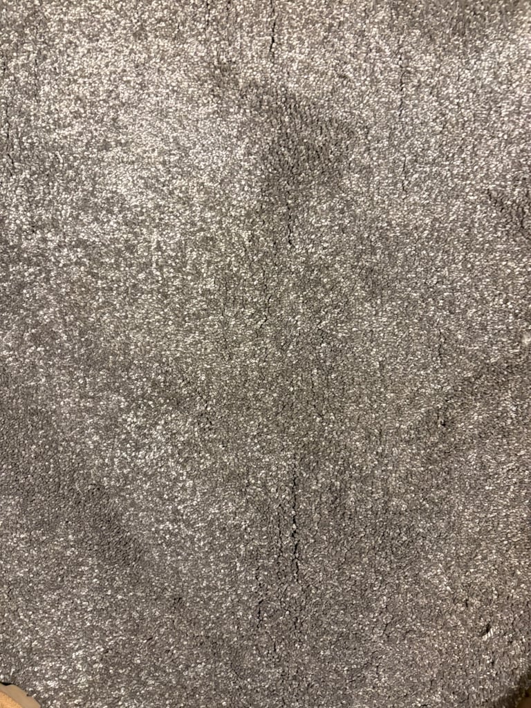 image for Free brand new grey carpet remnant