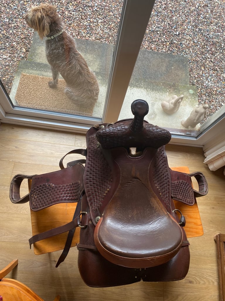 Western saddle