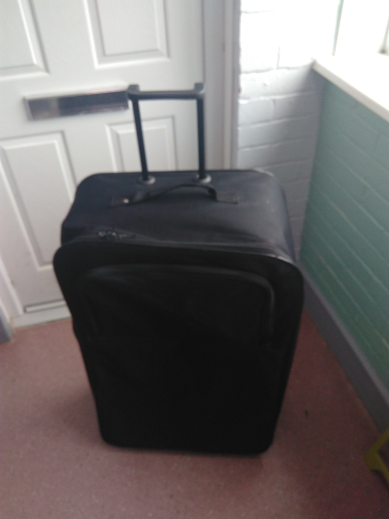 Brighton luggage for online sale