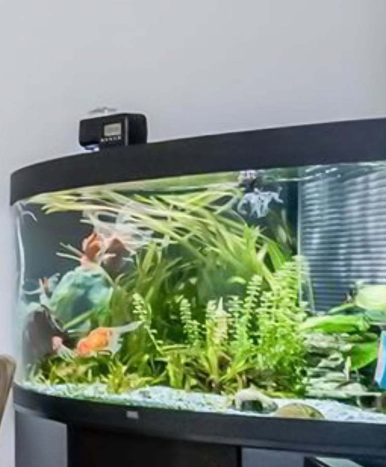 300ltr Corner Fish Tank (Juwel)