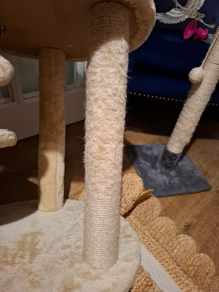 Cat tower, used but good condition