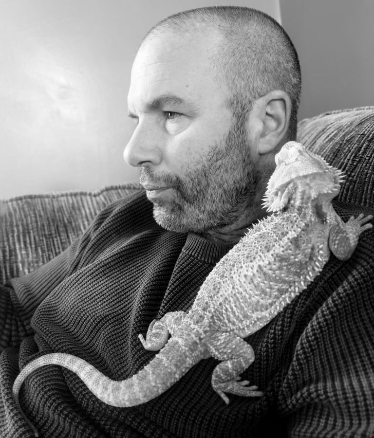 1y 2m bearded dragon 