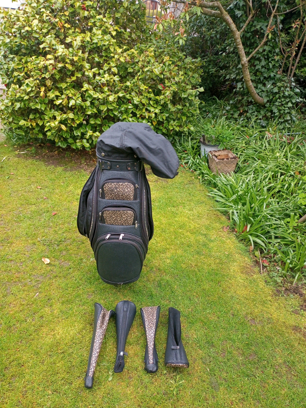 golf-bag-isolated-recreation-equipment-golf-lifestyle-png