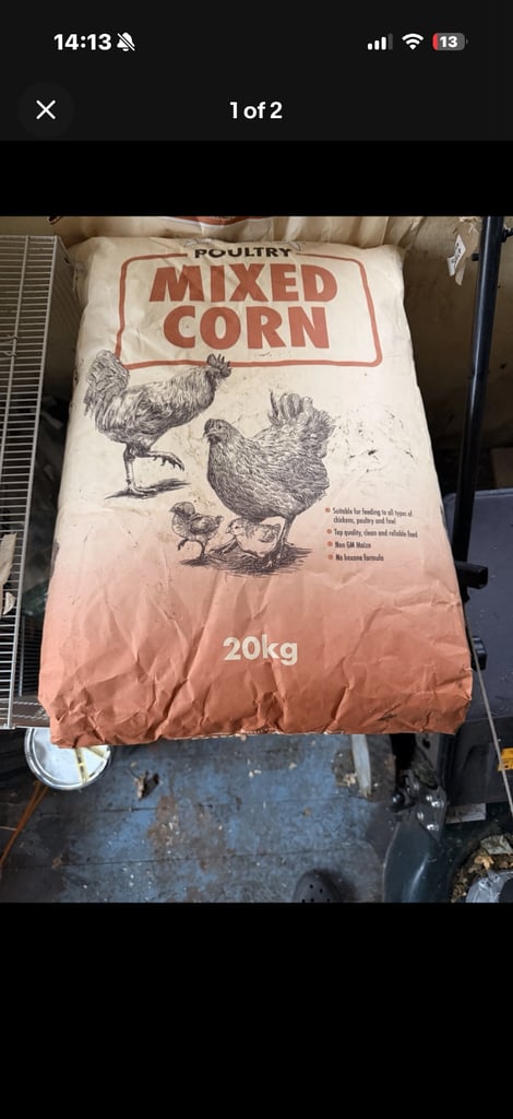 Chicken feed mixed corn