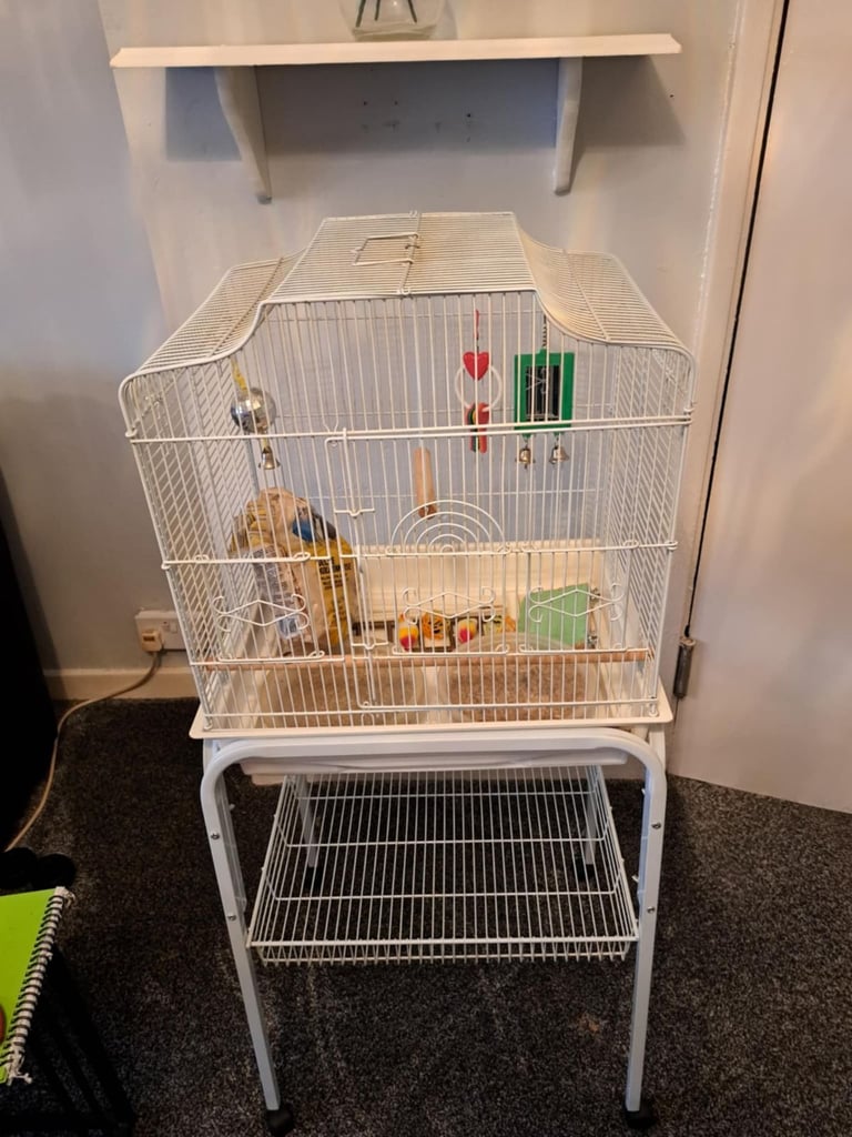 Bird cage and stand