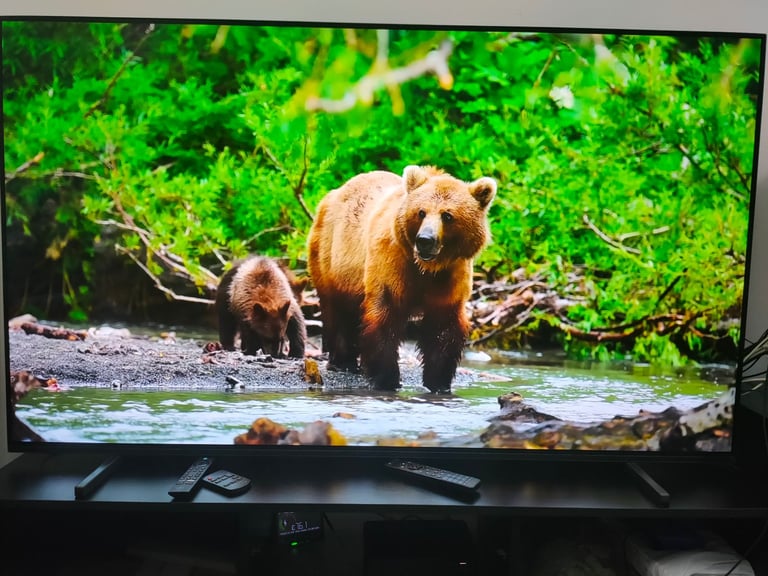 Sony 65 inch oled tv 