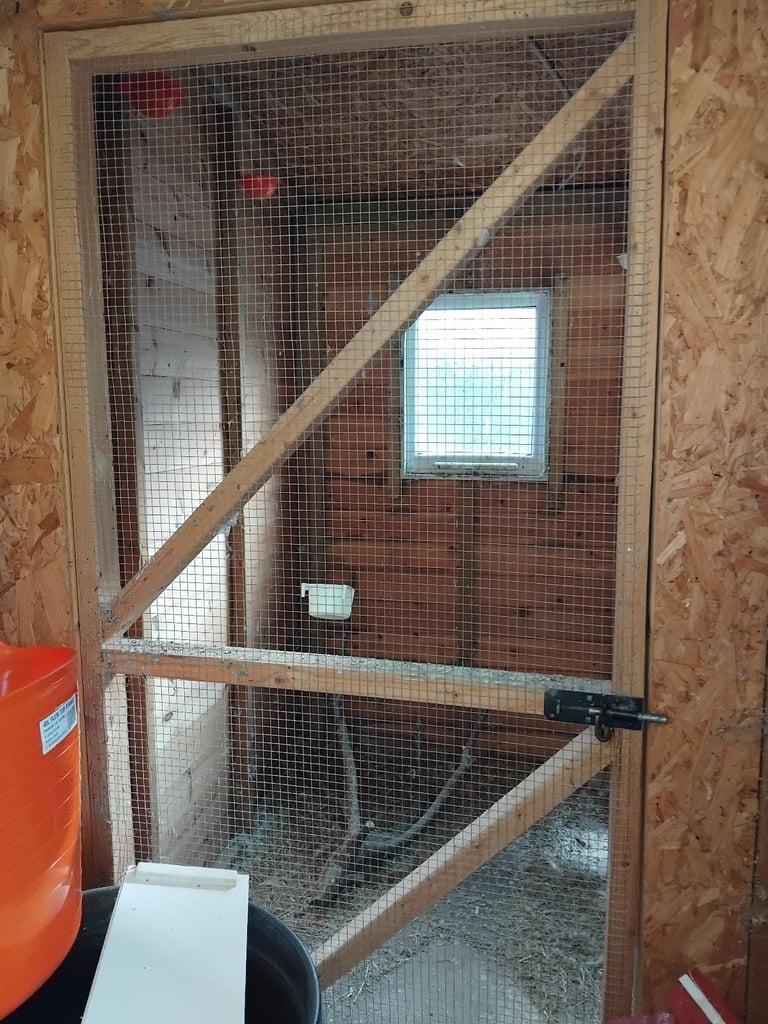 Bird avairy  open to offers 