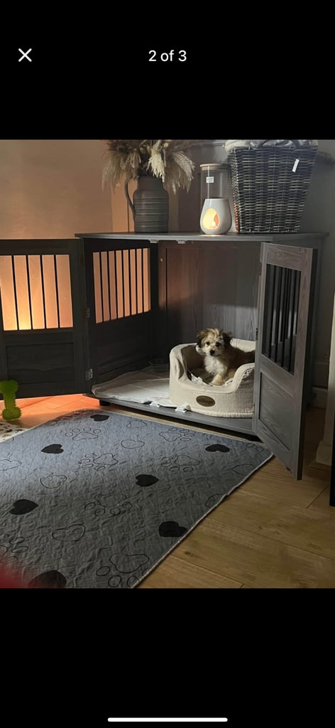 Dog crate 