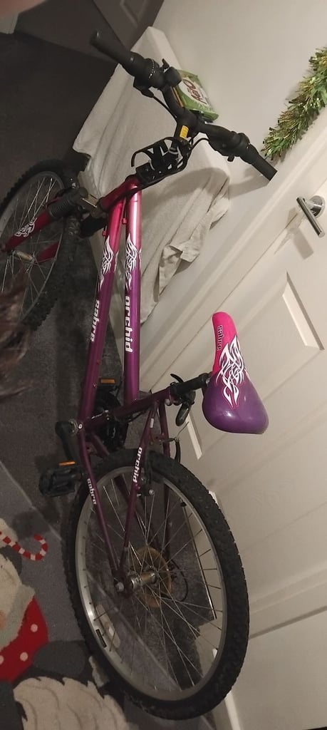 Girls bike
