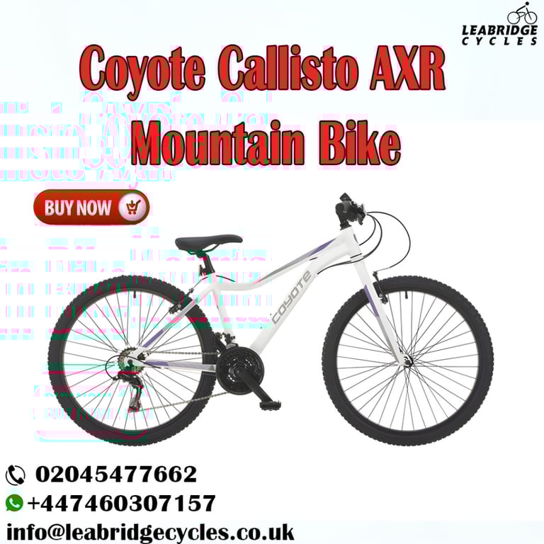 Coyote ladies mountain bike 2025