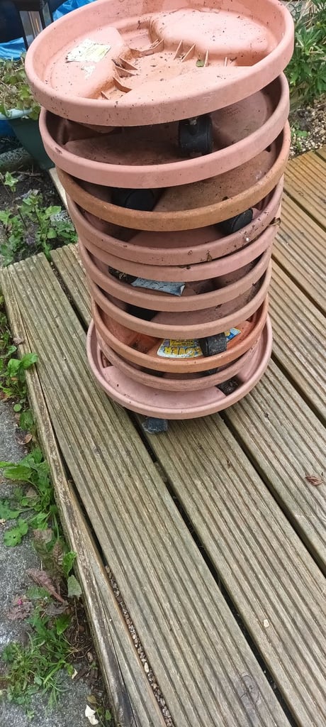 Plant movers.