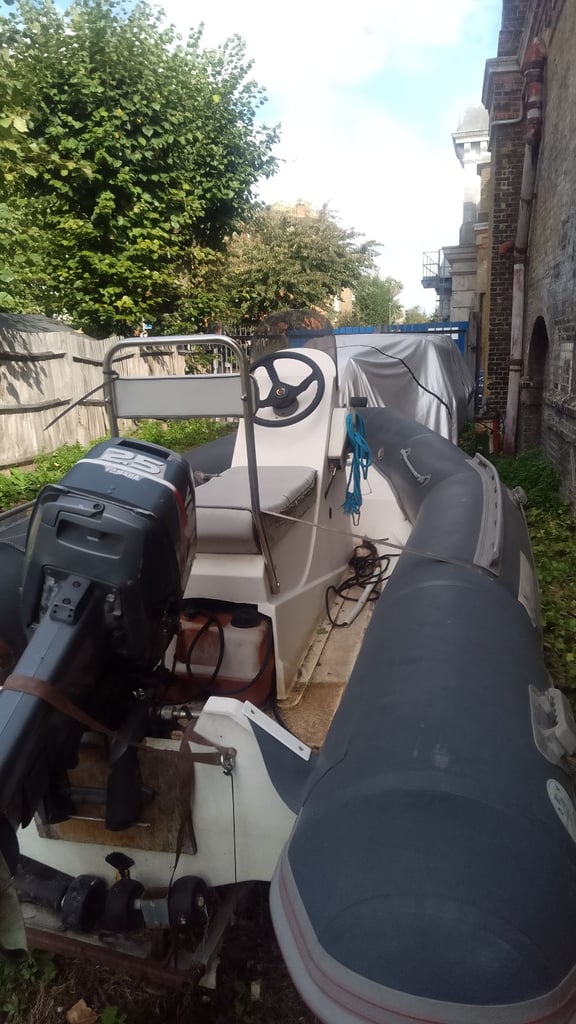 image for Narwhal 3 metre Rib