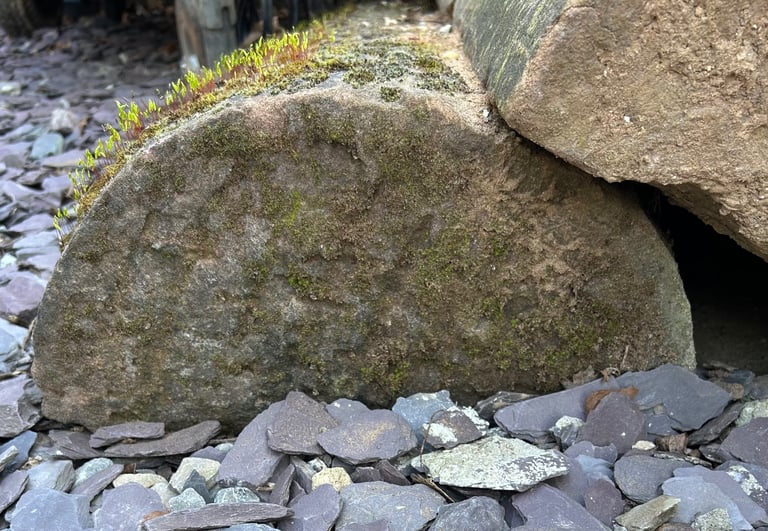 Sandstone 1/2 round/moon coping stones