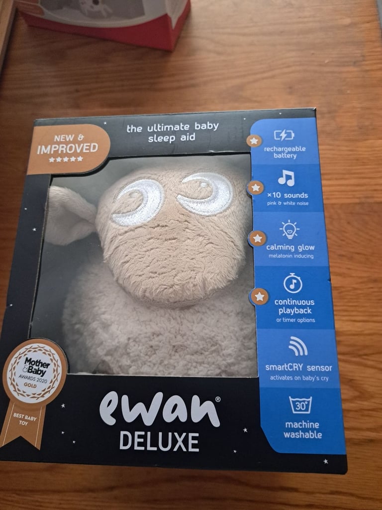 Ewan sheep
