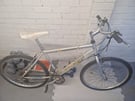Mens Raleigh silver Vintage mountain bike 26&quot;