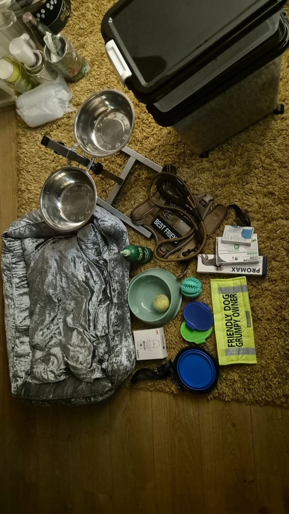 image for Big dog kit