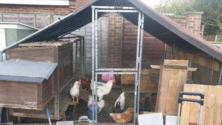 image for Metal chicken coop and run 