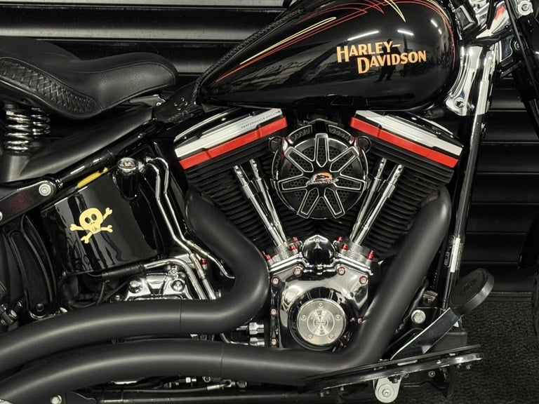 HARLEY-DAVIDSON FLSTSB CROSS BONES Softail Springer