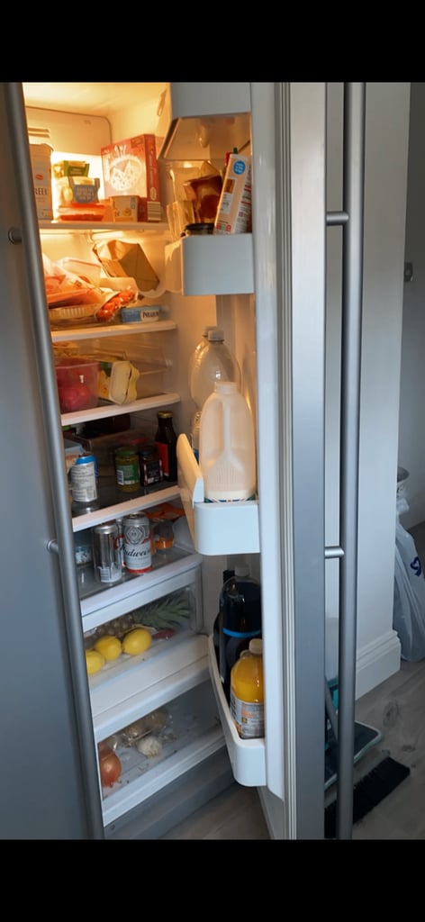 American style fridge freezer 