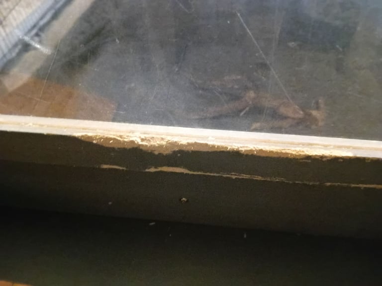 Pawhut grey rodent enclosure and accessories 