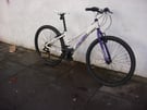ountain/ Commuter Bike by Raleigh, White, Small Size, JUST SERVICED / CHEAP PRICE!!!!!!!