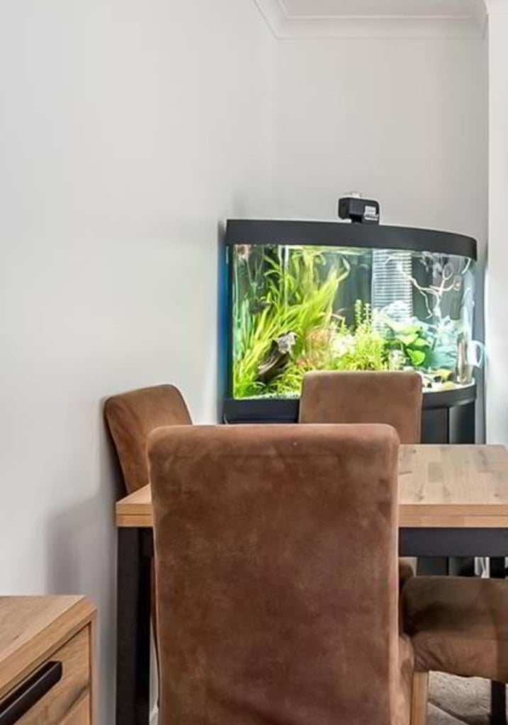 300ltr Corner Fish Tank (Juwel)