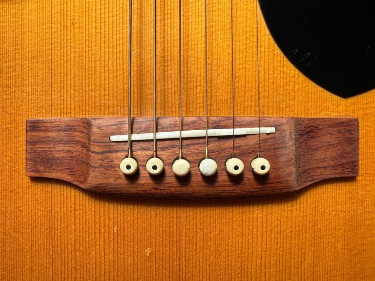 Rare Maxwin Bowlback Acoustic Made in Japan 