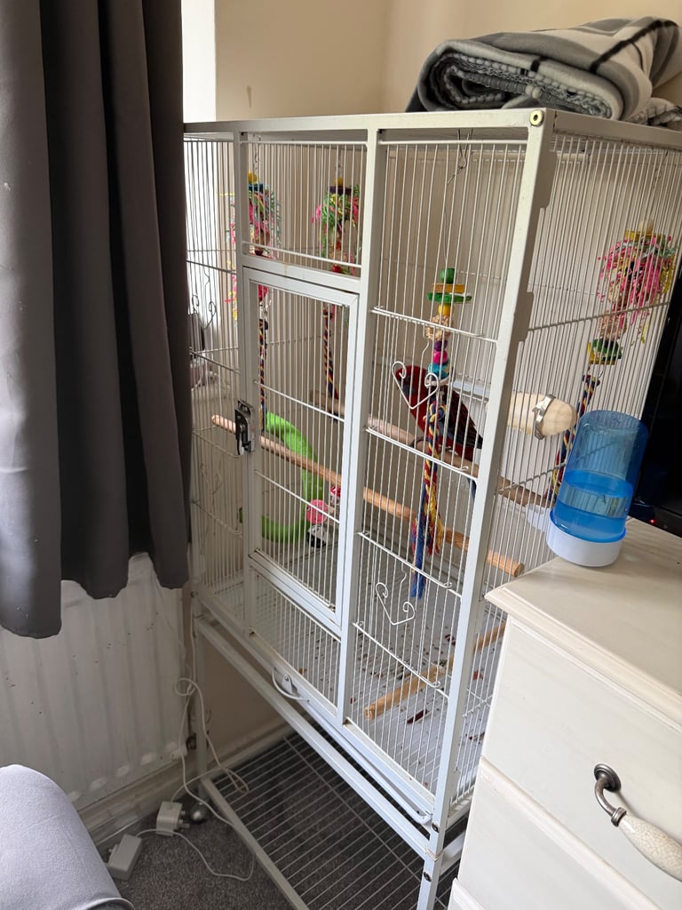 image for Parrot cage 