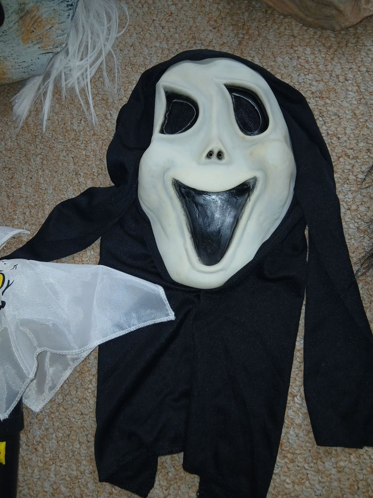 Halloween fancy dress masks