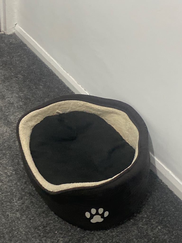 Dog bed