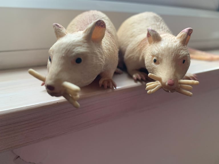 image for 2 large soft rubber toy rats