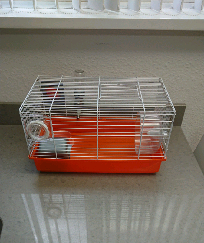 Hamster cage and accessories 