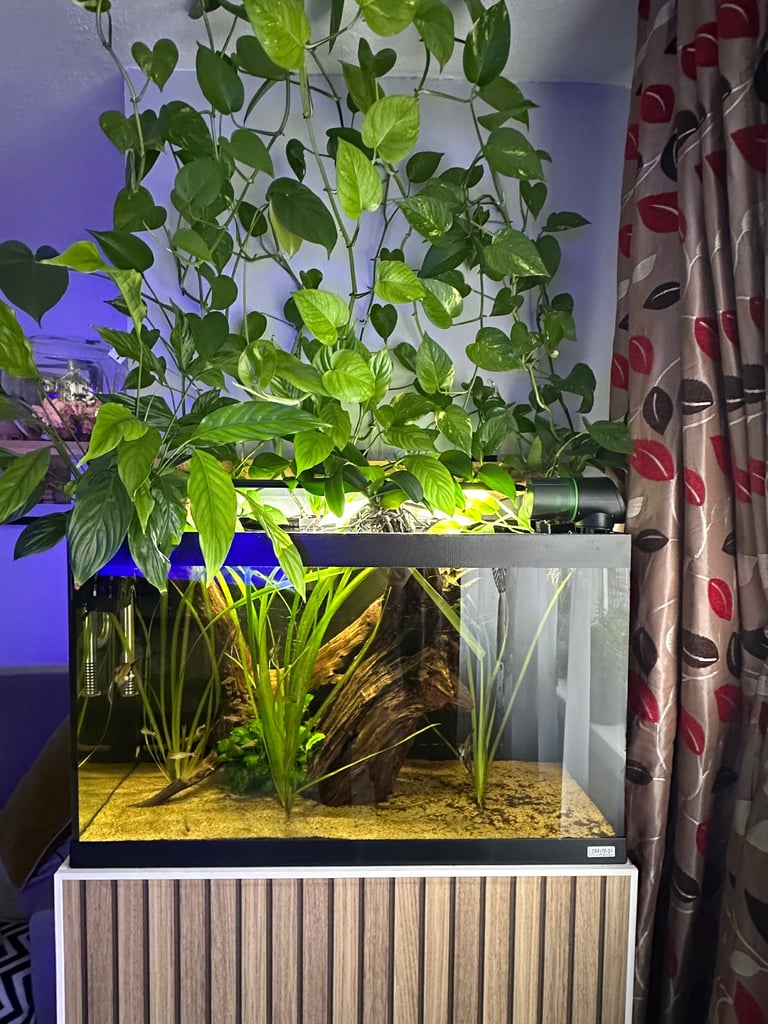 image for Aquarium with equipment 