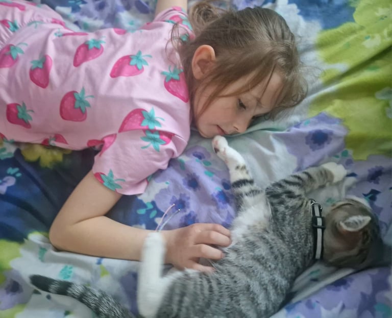 Adorable kittens in London(SE18)->>VIDEO😻❤️😻