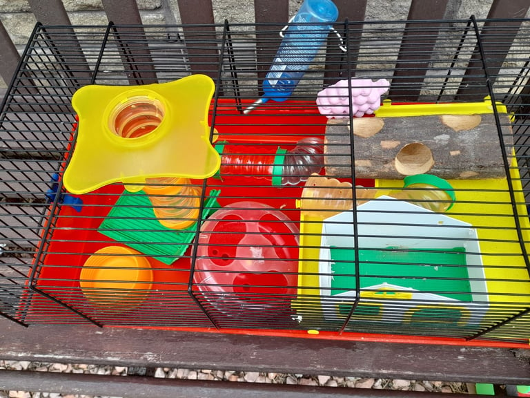 Gumtree hamster cage best sale