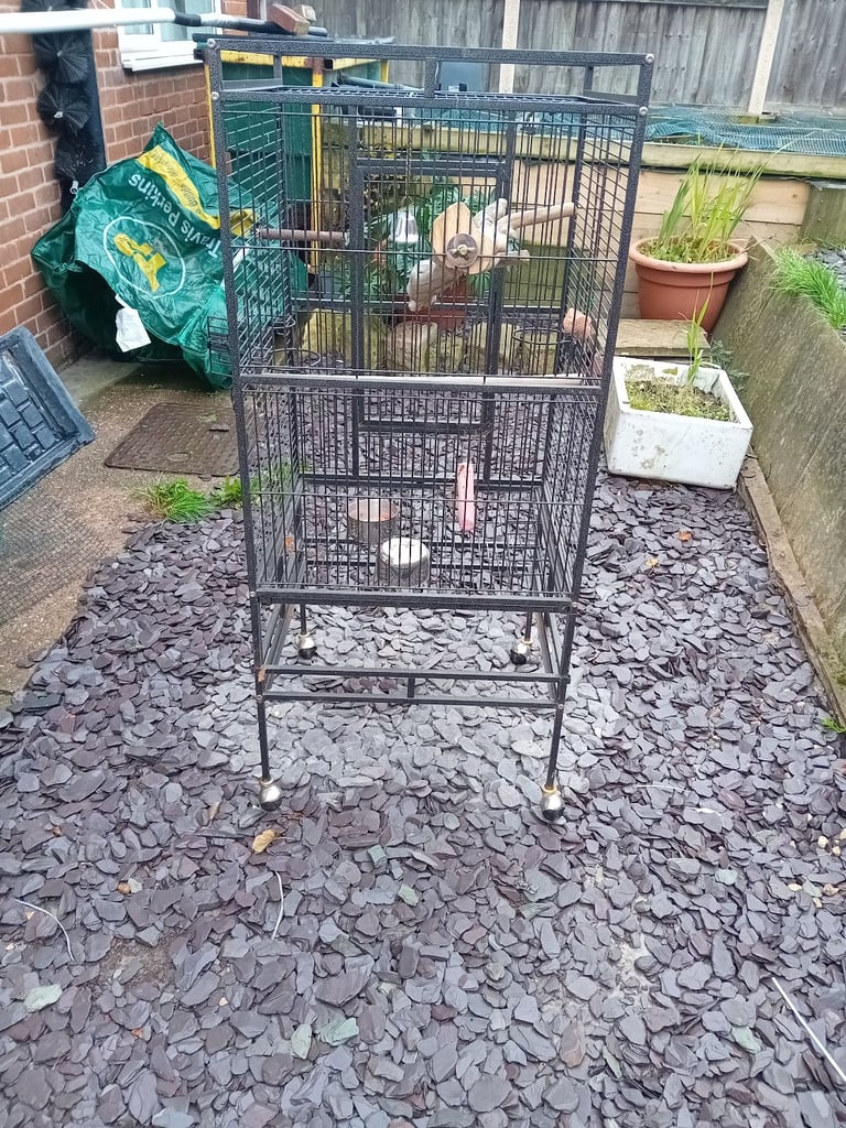 Parrot cage 